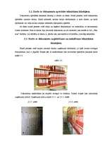 Prakses atskaite 'Iestāžu darba organizācija un vadība', 12.