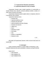 Prakses atskaite 'Iestāžu darba organizācija un vadība', 22.