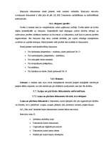 Prakses atskaite 'Iestāžu darba organizācija un vadība', 25.