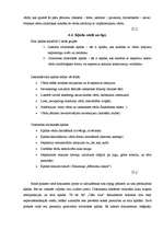 Prakses atskaite 'Iestāžu darba organizācija un vadība', 33.