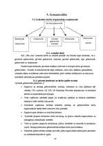 Prakses atskaite 'Iestāžu darba organizācija un vadība', 38.