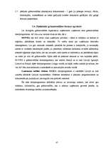 Prakses atskaite 'Iestāžu darba organizācija un vadība', 41.