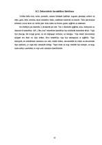 Prakses atskaite 'Iestāžu darba organizācija un vadība', 65.