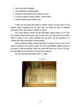 Prakses atskaite 'Iestāžu darba organizācija un vadība', 67.