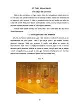 Prakses atskaite 'Iestāžu darba organizācija un vadība', 69.