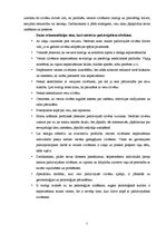 Eseja 'Mana pieredze darbā ar veciem cilvēkiem', 2.