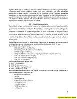 Prakses atskaite 'Prakses pārskats “Finanšu grāmatvedība”', 8.