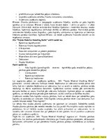 Prakses atskaite 'Prakses pārskats “Finanšu grāmatvedība”', 17.