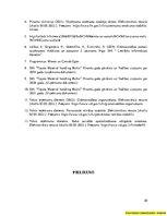 Prakses atskaite 'Prakses pārskats “Finanšu grāmatvedība”', 20.