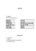 Konspekts 'Integrētā nodarbība ar mūzikas dominanti sākumskolā', 4.