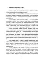 Referāts 'Domāšanas vispārīgs raksturojums, tās būtība, jēga, tipi un vēsturiskās attīstīb', 4.