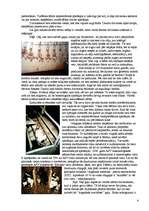 Referāts 'Dzīvnieku izmantošana cilvēku vajadzībām', 4.