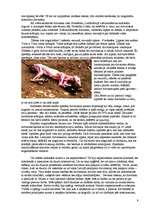 Referāts 'Dzīvnieku izmantošana cilvēku vajadzībām', 9.