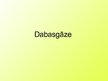 Prezentācija 'Dabasgāze', 1.