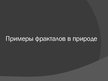 Prezentācija 'Фракталы в природе', 4.