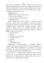 Referāts 'Personālvadības optimizācijas iespējas SIA “Spīdums” ', 20.