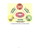 Referāts 'Enerģētikas ekonomika', 6.