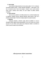 Referāts 'Enerģētikas ekonomika', 11.