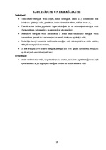 Referāts 'Enerģētikas ekonomika', 16.