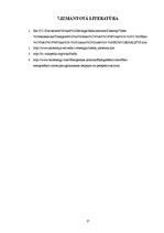 Referāts 'Enerģētikas ekonomika', 17.