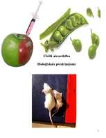 Referāts 'Bioloģiskais piesārņojums', 1.