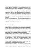 Referāts 'Organizācijas kultūras noteicošie faktori', 5.