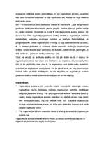 Referāts 'Organizācijas kultūras noteicošie faktori', 13.