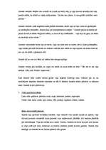 Konspekts 'A.Brigadere "Anneles stāsti"', 2.