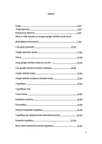 Referāts 'Smaga garīgā atpalicība', 2.