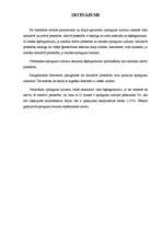 Referāts 'Sprieguma zudumu aprēķins 20kV elektropārvades līnijas punktos', 11.