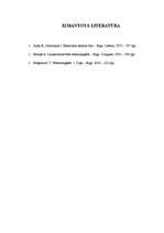 Referāts 'Sprieguma zudumu aprēķins 20kV elektropārvades līnijas punktos', 13.