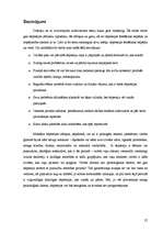 Referāts 'Depresija', 27.