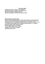 Referāts 'Viss par datoru', 24.