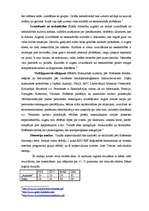 Eseja 'Saskarsmes partneru kultūru atšķirību izpausmes saziņā ', 3.