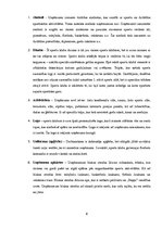 Referāts 'Organizācijas kultūras raksturojums', 6.