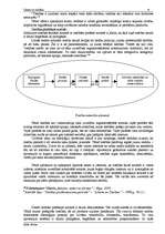 Referāts 'Likums un tiesības', 6.