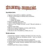 Konspekts 'Sižeta lomu rotaļa pirmsskolā', 1.