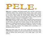 Konspekts 'Sižeta lomu rotaļa pirmsskolā', 10.