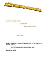 Konspekts 'Sižeta lomu rotaļa pirmsskolā', 11.