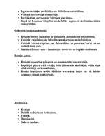 Konspekts 'Sižeta lomu rotaļa pirmsskolā', 12.