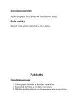 Konspekts 'Sižeta lomu rotaļa pirmsskolā', 20.