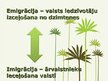 Prezentācija 'Migrācijas veidi pēc teritorijas', 7.