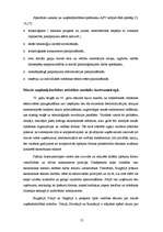 Referāts 'Ārējo vides faktoru ietekme uz uzņēmumu', 13.