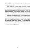 Referāts 'Ārējo vides faktoru ietekme uz uzņēmumu', 17.