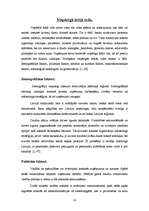 Referāts 'Ārējo vides faktoru ietekme uz uzņēmumu', 18.