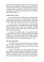 Referāts 'Ārējo vides faktoru ietekme uz uzņēmumu', 19.