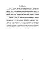 Referāts 'Ārējo vides faktoru ietekme uz uzņēmumu', 22.