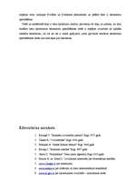 Referāts 'Privātā un publiskā testamenta salīdzinājums', 17.