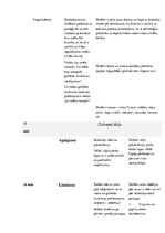 Konspekts 'Stundas konspekts 3.klasei dabaszinībās. Gofrētās struktūras', 5.