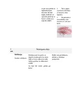 Konspekts 'Stundas konspekts 3.klasei dabaszinībās. Gofrētās struktūras', 6.